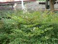 pic01902.JPG