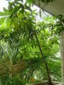 pic05001.jpg